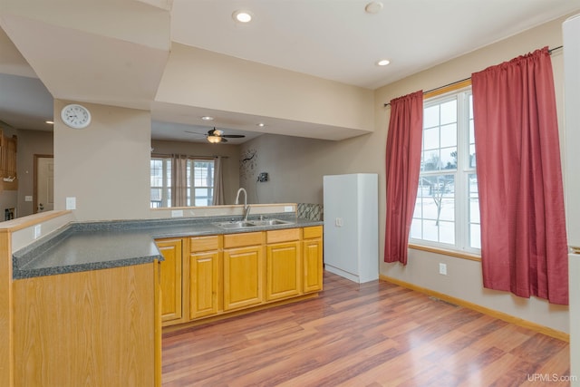 kitchen with ceiling fan, kitchen peninsula, sink, and light hardwood / wood-style flooring