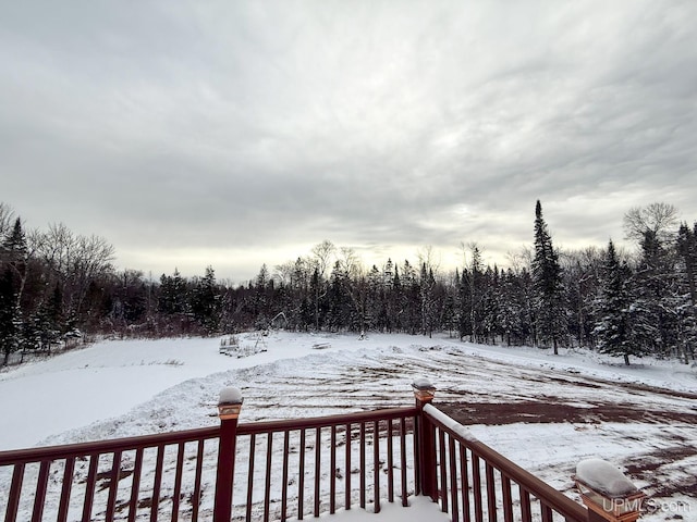 view of yard layered in snow