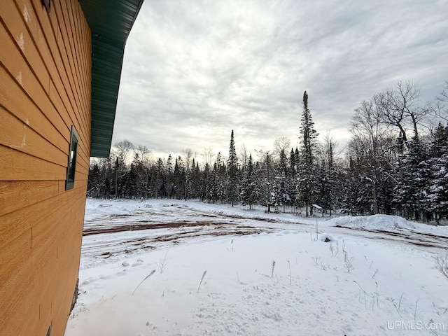 view of yard layered in snow