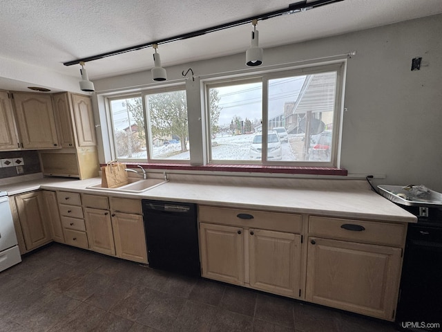 kitchen with tasteful backsplash, a textured ceiling, sink, light brown cabinets, and black dishwasher