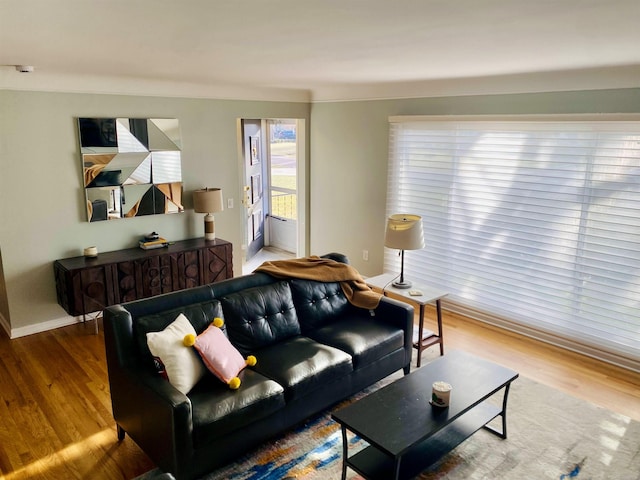 living room with hardwood / wood-style floors