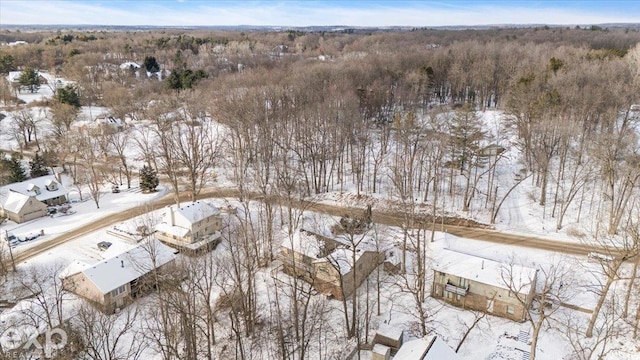 view of snowy aerial view