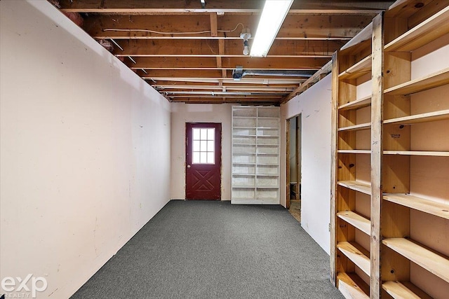 basement featuring carpet flooring