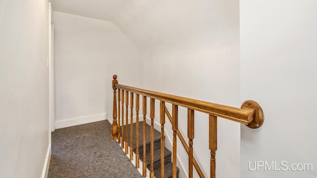 stairway with carpet and lofted ceiling