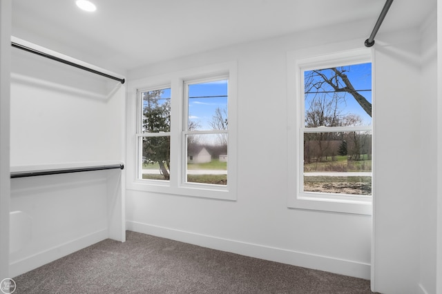 walk in closet with carpet flooring