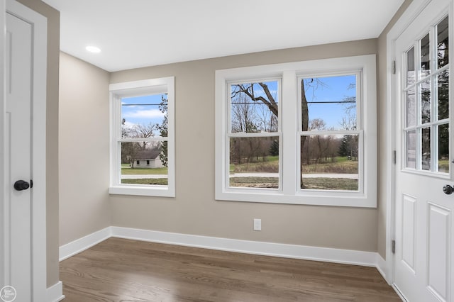 interior space with dark wood-type flooring and plenty of natural light