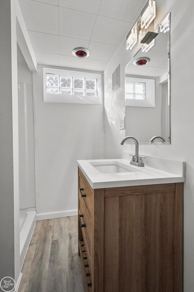 bathroom featuring vanity, a healthy amount of sunlight, and hardwood / wood-style flooring