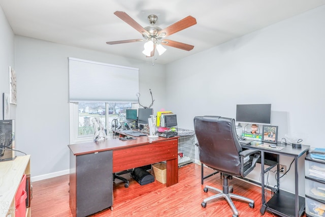 office area featuring ceiling fan and hardwood / wood-style flooring