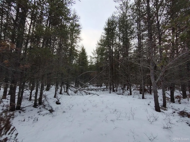 Listing photo 2 for PARCEL5 Rice Lake Rd, Gwinn MI 49841