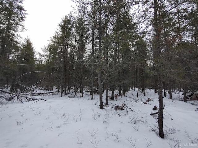 Listing photo 3 for PARCEL5 Rice Lake Rd, Gwinn MI 49841