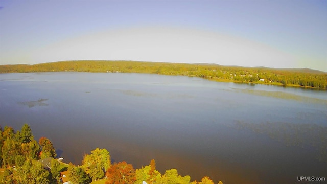 property view of water