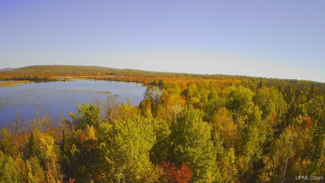 property view of water