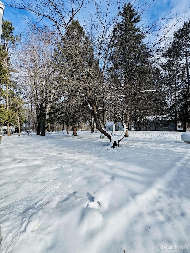 view of yard layered in snow