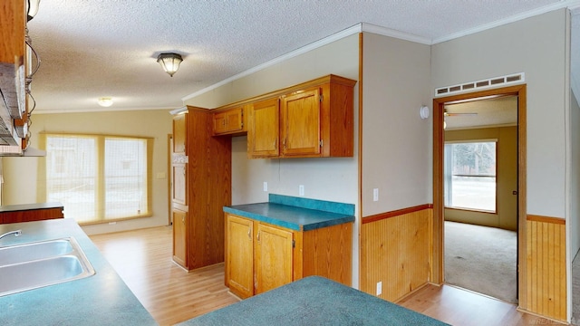 kitchen featuring a healthy amount of sunlight, wood walls, crown molding, and sink