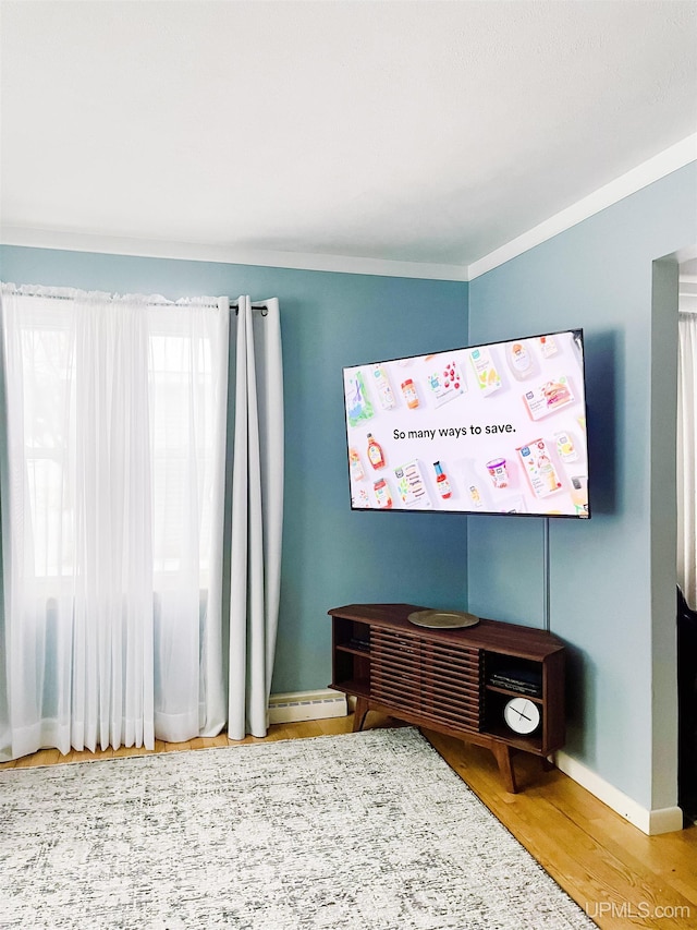 bedroom with hardwood / wood-style floors and ornamental molding