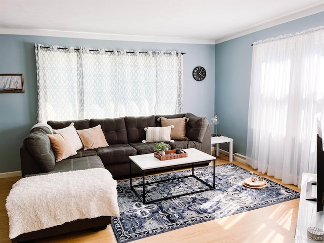 living room with hardwood / wood-style floors and crown molding