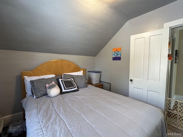 bedroom featuring a closet and vaulted ceiling