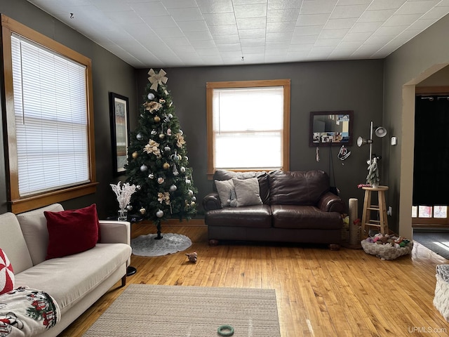 living room featuring light hardwood / wood-style floors