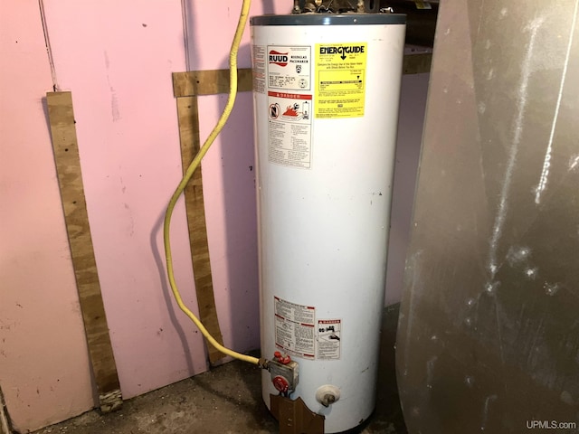 utility room with gas water heater