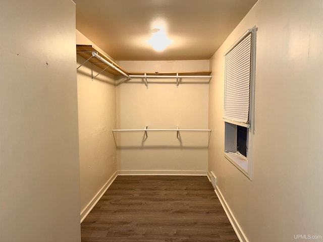 walk in closet with dark hardwood / wood-style floors