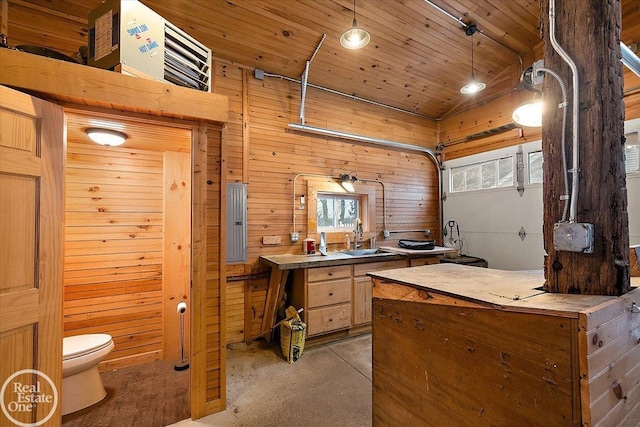 bathroom with wooden walls, toilet, and wooden ceiling