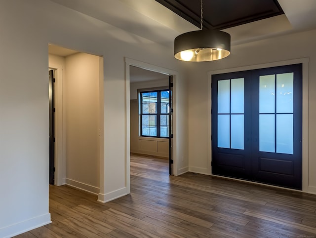 entrance foyer featuring wood-type flooring