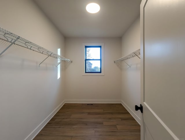 spacious closet featuring dark wood-type flooring