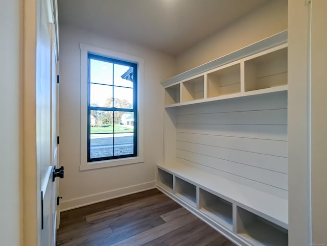 mudroom featuring dark hardwood / wood-style floors