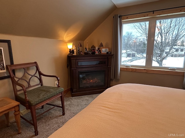 bedroom featuring carpet flooring and vaulted ceiling