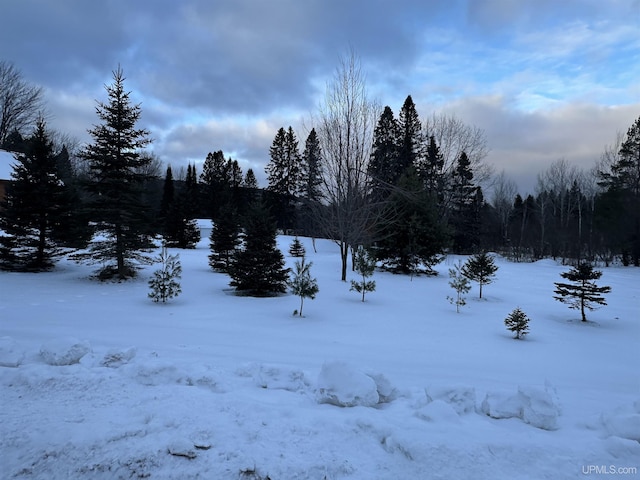 view of yard covered in snow