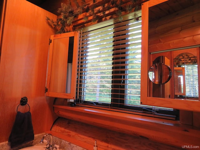 bathroom featuring a wealth of natural light