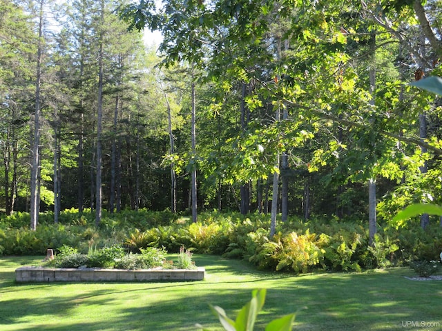 view of community featuring a yard