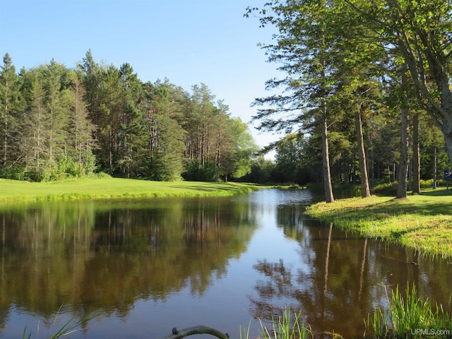 view of water feature