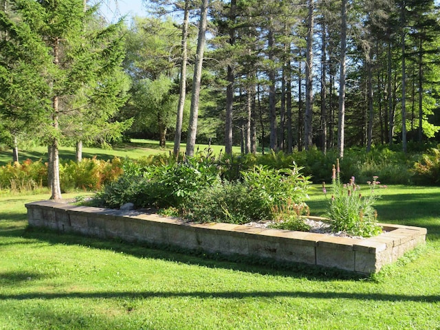 view of property's community with a lawn