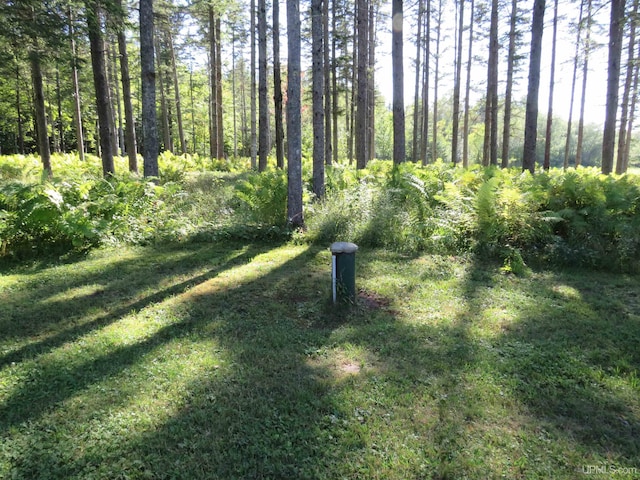 view of local wilderness