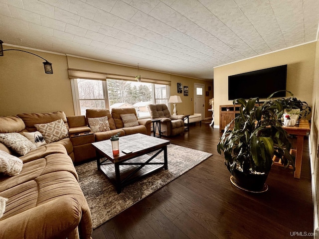 living room featuring dark wood-type flooring