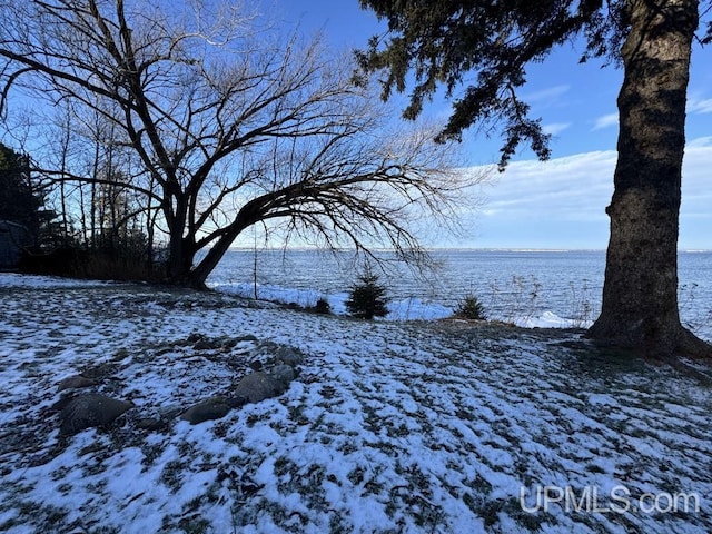 view of water feature