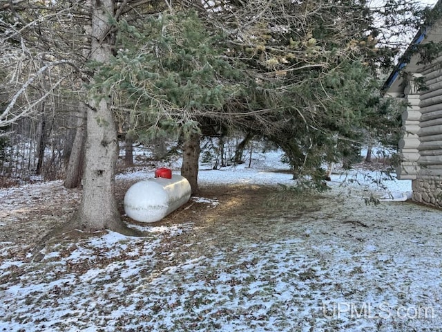 view of yard layered in snow