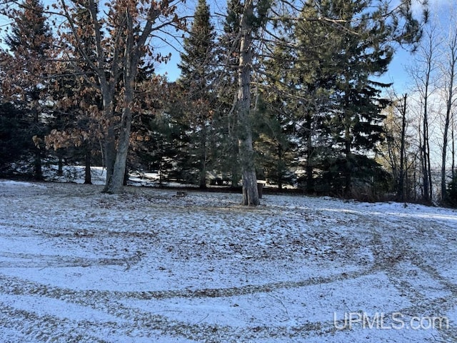 view of snowy view