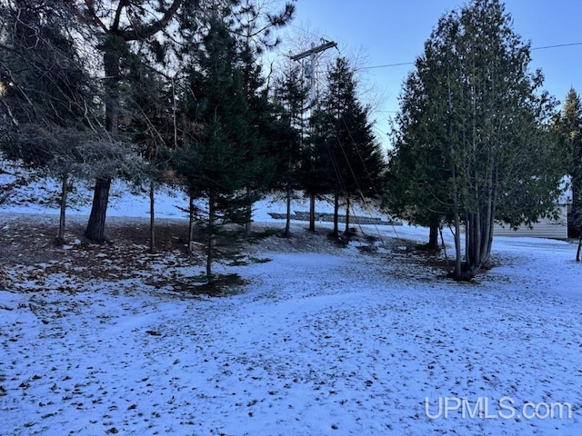 view of snowy yard