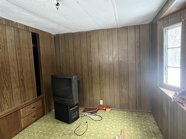 miscellaneous room featuring wooden walls