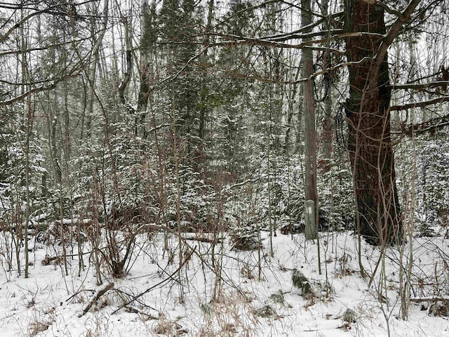 view of snowy landscape