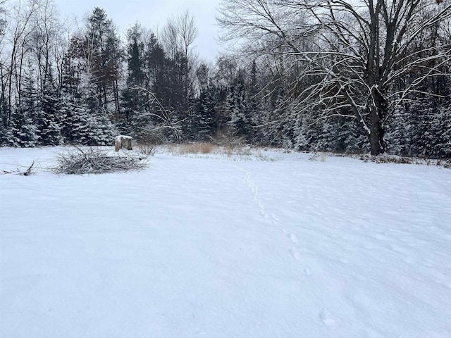 view of yard layered in snow