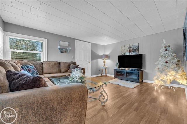 living room featuring wood-type flooring