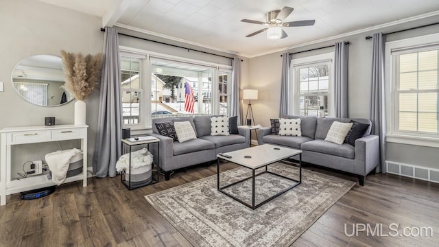 living room featuring ornamental molding, ceiling fan, and dark wood-type flooring