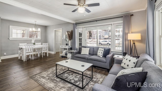 living room featuring dark hardwood / wood-style flooring, crown molding, plenty of natural light, and ceiling fan with notable chandelier