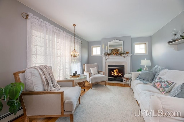 living room with a baseboard radiator, light hardwood / wood-style flooring, and plenty of natural light