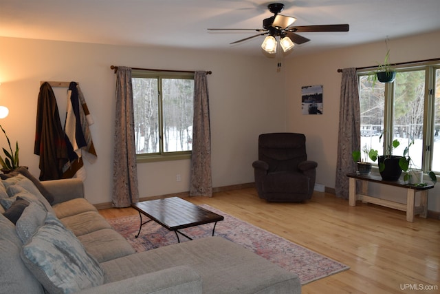 living room featuring ceiling fan, light hardwood / wood-style flooring, and a healthy amount of sunlight