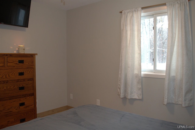 bedroom featuring multiple windows