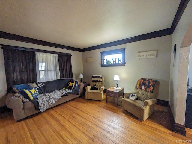 living room with light hardwood / wood-style floors and ornamental molding